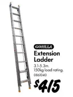 Bunnings Extension Ladder offer