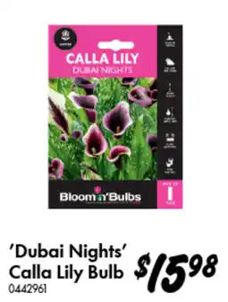 Bunnings Dubai Nights Calla Lily Bulb offer
