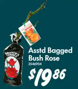 Bunnings Asstd Bagged Bush Rose offer