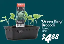 Bunnings Green King Broccoli offer