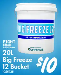 Bunnings Big Freeze 12 Bucket offer