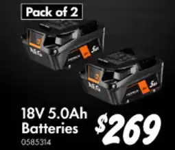 Bunnings 18V 5.0Ah Batteries offer