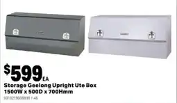 Mitre 10 Storage Geelong Upright Ute Box offer