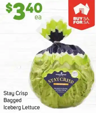 Foodland Stay Crisp Bagged Iceberg Lettuce offer