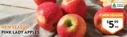 Foodworks Pink lady apples offer