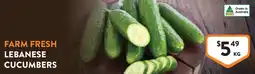 Foodworks Farm fresh lebanese cucumbers offer