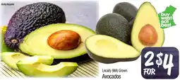 Foodworks Locally (WA) Grown Avocados offer