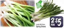 Foodworks Locally (WA) Grown Spring Onions offer