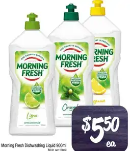 Foodworks Morning Fresh Dishwashing Liquid offer