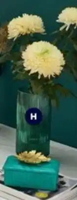 Spotlight Glass Vase offer