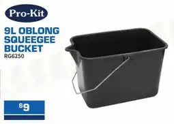 Burson Auto Parts Oblong squeegee bucket offer