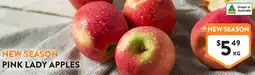 Foodworks Pink lady apples offer