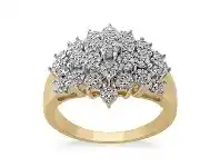 Bevilles Jewellery 9ct Yellow Gold 1/2ct Diamond Cluster Ring offer