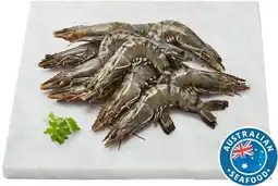 Coles Coles Queensland Thawed Raw Extra Large Black Tiger Prawns offer