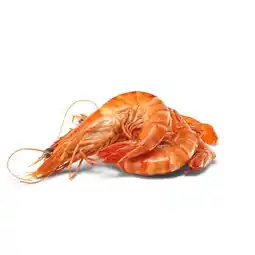 Woolworths Australian Thawed Extra Large Cooked Tiger Prawns† offer