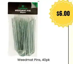 Cheap as Chips Weedmat Pins offer