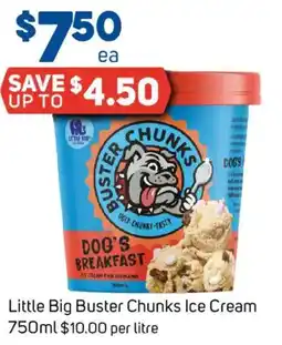 Foodland Little Big Buster Chunks Ice Cream offer