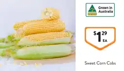 Foodworks Sweet Corn Cobs offer