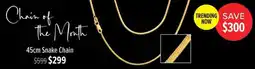 Shiels Snake Chain offer