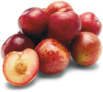 Australian Croc Eggs™ Plums