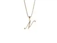 Bevilles Jewellery Stainless Steel Rose Crystal Initial Necklace - N offer