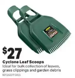 Mitre 10 Cyclone Leaf Scoops offer