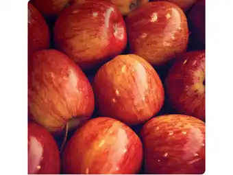 Foodland Adelaide hills pink lady or royal gala apples 1kg pre-pack offer