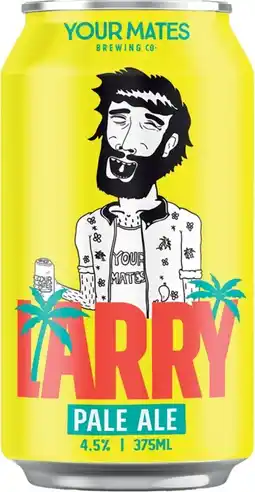 BWS Your Mates Larry Pale Ale 375mL offer