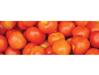 Gourmet Tomatoes