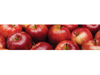 Foodworks New Season Gala Apples offer