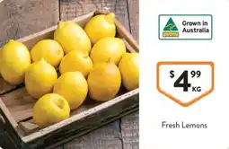 Foodworks Fresh Lemons offer