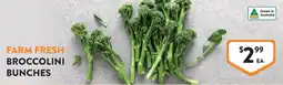 Foodworks Farm fresh broccolini bunches offer