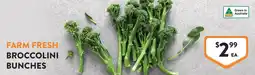 Foodworks Farm fresh broccolini bunches offer