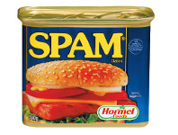 Woolworths Spam Spiced 340g offer