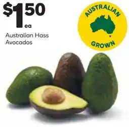 Woolworths Australian Hass Avocados offer