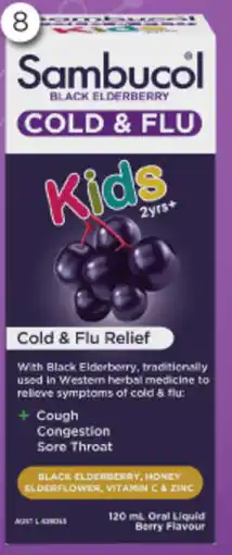 Good Price Pharmacy Sambucol Cold & Flu Kids Liquid offer