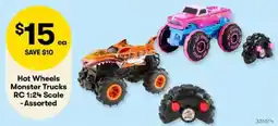 BIG W Hot Wheels Monster Trucks RC 1:24 Scale offer