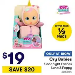 BIG W ONLY AT BIGW Cry Babies Goodnight Friends Luna & Poppy offer