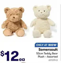 BIG W Somersault Teddy Bear Plush offer