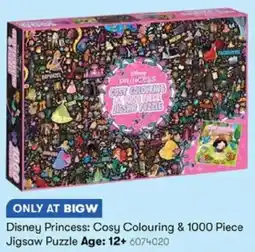 BIG W Disney Princess: Cosy Colouring & 1000 Piece Jigsaw Puzzle Age: 12+ offer