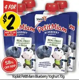 NQR Yoplait PetitMiam Blueberry Yoghurt offer