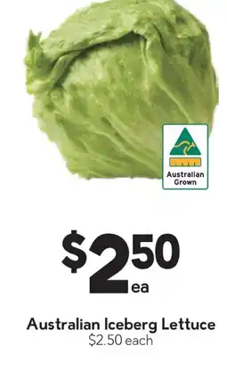 Drakes Australian Iceberg Lettuce $2.50 each offer