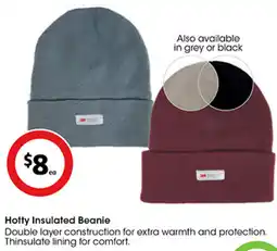Coles Hotty Insulated Beanie offer