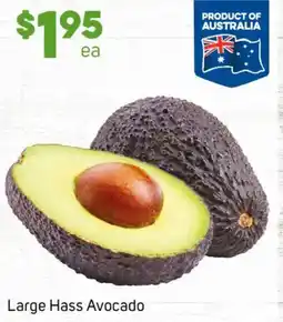 Foodland Large Hass Avocado offer