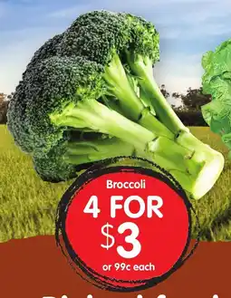 Spudshed Broccoli offer