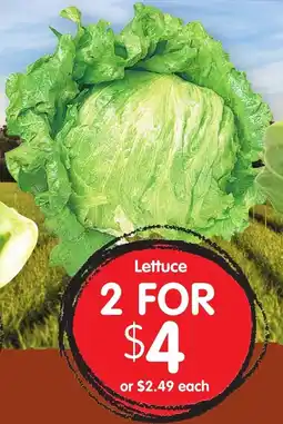 Spudshed Lettuce offer