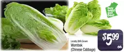 Foodworks Locally wa grown wombok chinese cabbage offer