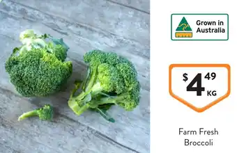 Foodworks Farm Fresh Broccoli offer