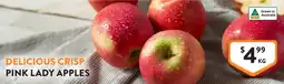 Foodworks Delicious crisp pink lady apples offer