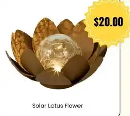 Cheap as Chips Solar Lotus Flower offer